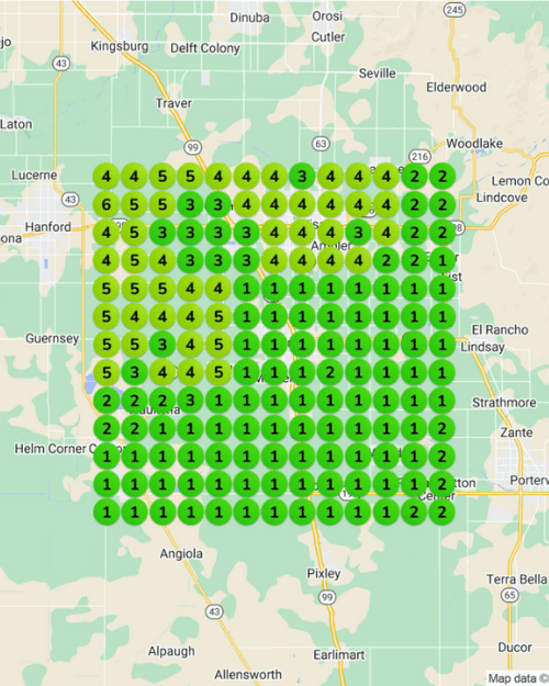 Local SEO Success